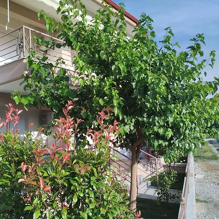 Holiday home Avellana Luxury Leptokarya (Pieria)
