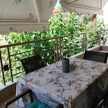 Avellana Luxury