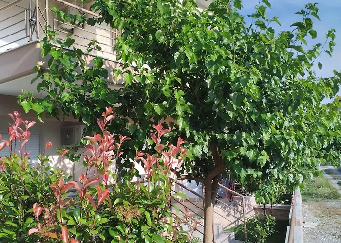 Сasa de vacaciones Avellana Luxury Leptokarya (Pieria)