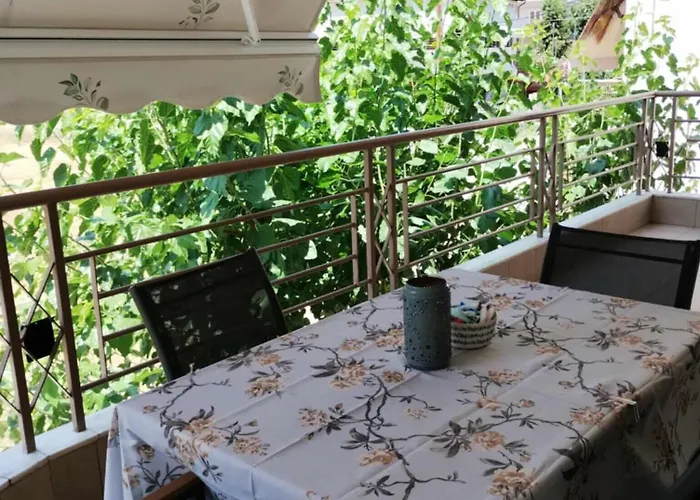 Avellana Luxury