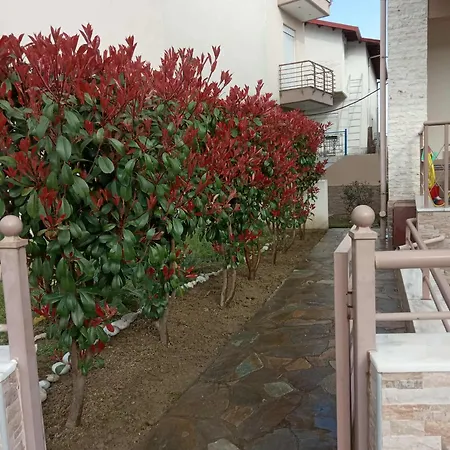 Avellana Luxury * Leptokarya (Pieria)